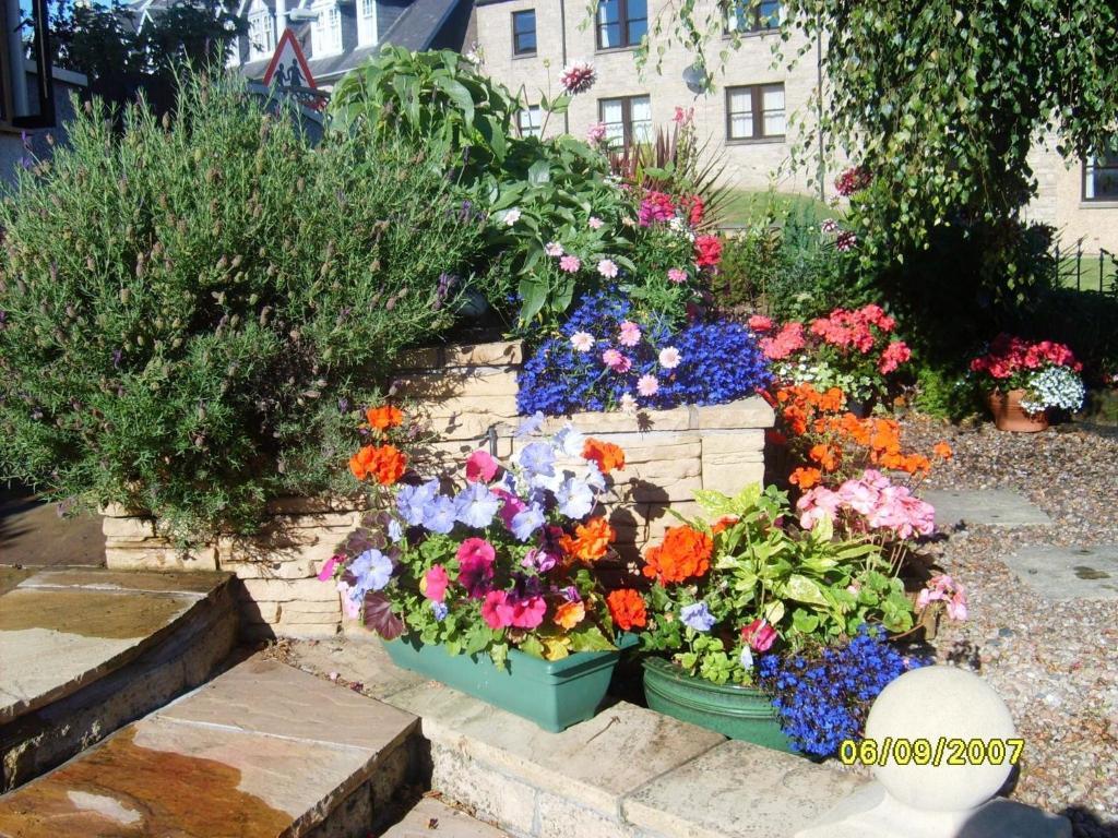 Bed and Breakfast Braeside House St Andrews Exterior foto